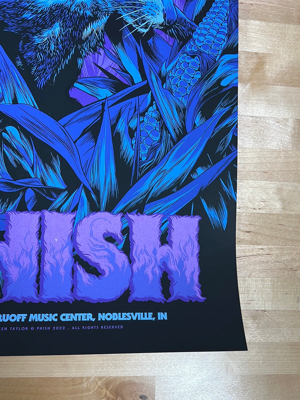 Phish - 2022 Ken Taylor poster Noblesville, IN Ruoff N1