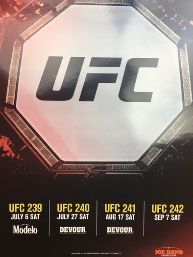 UFC 239, 240, 241 & 242 2019 Poster