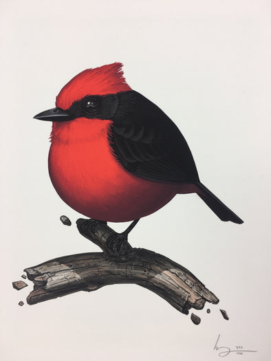 Vermillion Flycatcher - 2017 Mike Mitchell Art Print
