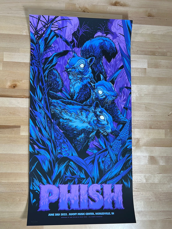 Phish - 2022 Ken Taylor poster Noblesville, IN Ruoff N1