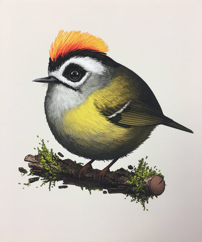Fat Bird - 2018 Mike Mitchell Flamecrest Art Print