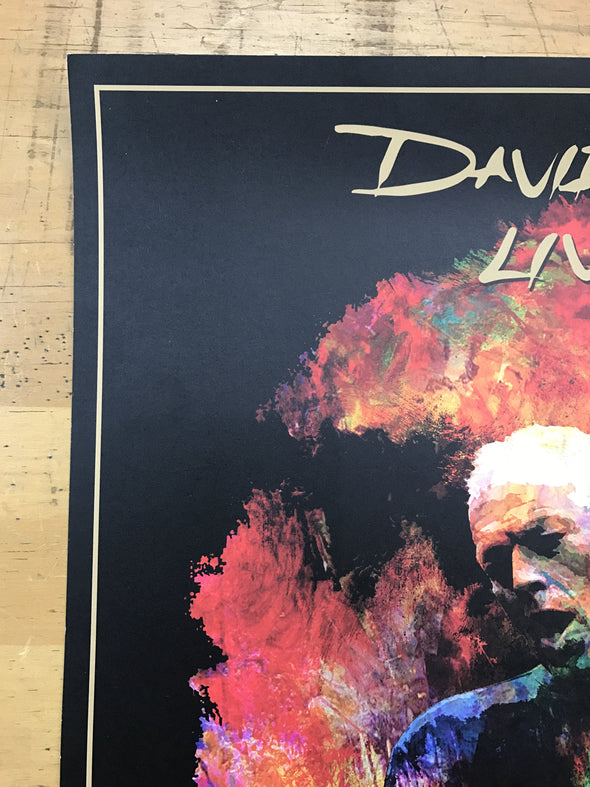 David Gilmour - 2016 poster Chicago, IL United Center Pink Floyd