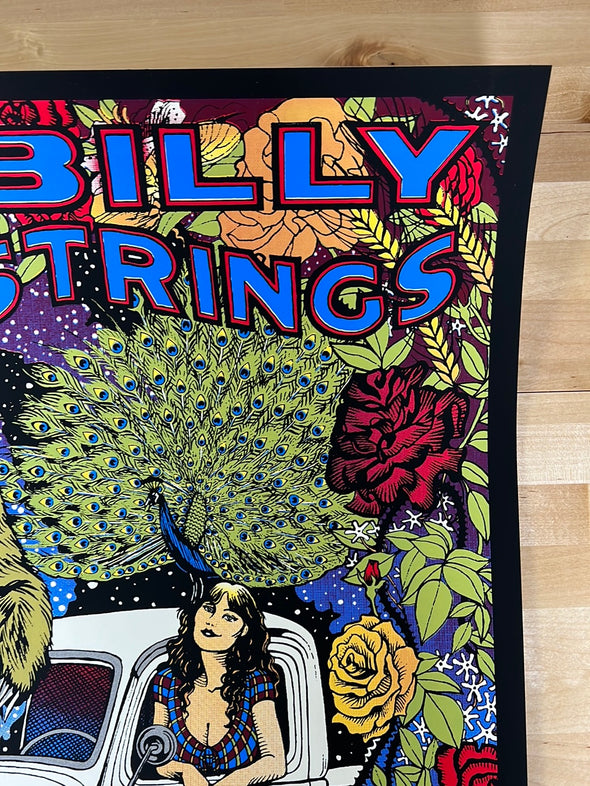 Billy Strings - 2021 Catlin Mattisson poster Lafayette, NY Apple Valley 7/30