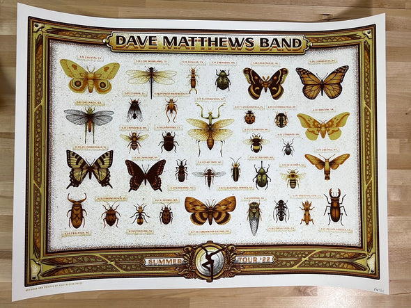 Dave Matthews Band - 2022 Half Hazard poster x/125 variant summer tour
