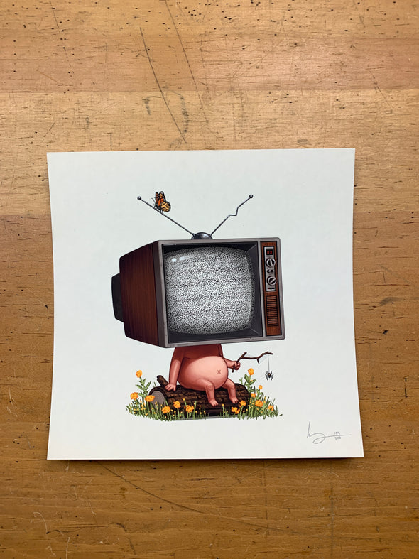 Mike I - 2017 Mike Mitchell TV head poster print Mikeland