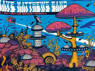 Dave Matthews Band - 2022 Status Serigraph poster Jacksonville, FL
