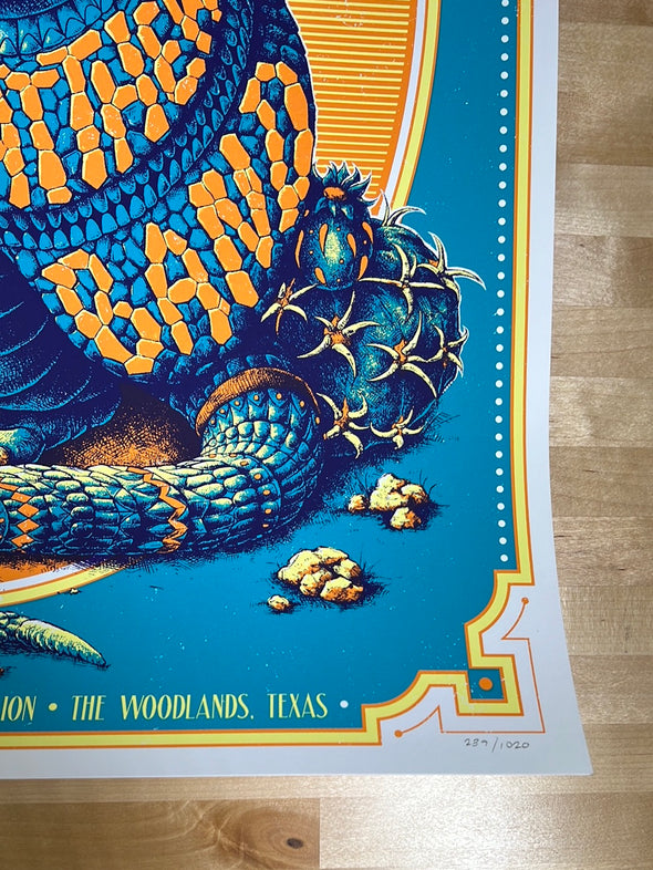 Dave Matthews Band - 2022 BioWorkZ poster Woodlands, TX