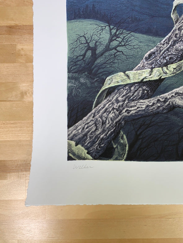 The Pantomime Tree - 2021 David Welker poster, art print 1st