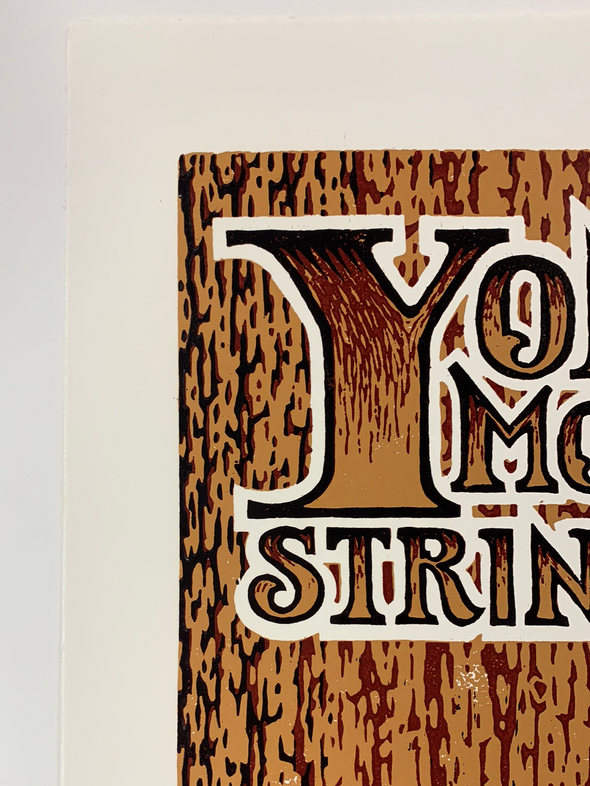 Yonder Mountain String Band - 2009 Timothy Ripley poster Washington, DC