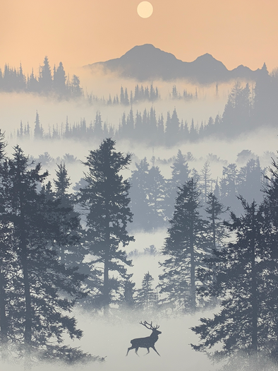 Morning Has Broken - 2017 Dan McCarthy poster, art print