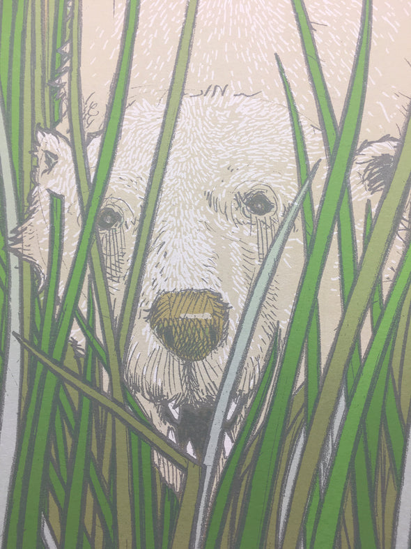 The Polar Bear - 2009 Jay Ryan poster Chicago, IL Lost 15 Series