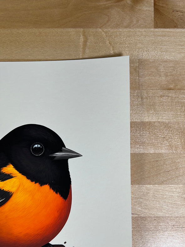 Oriole II - 2021 Mike Mitchell poster art print