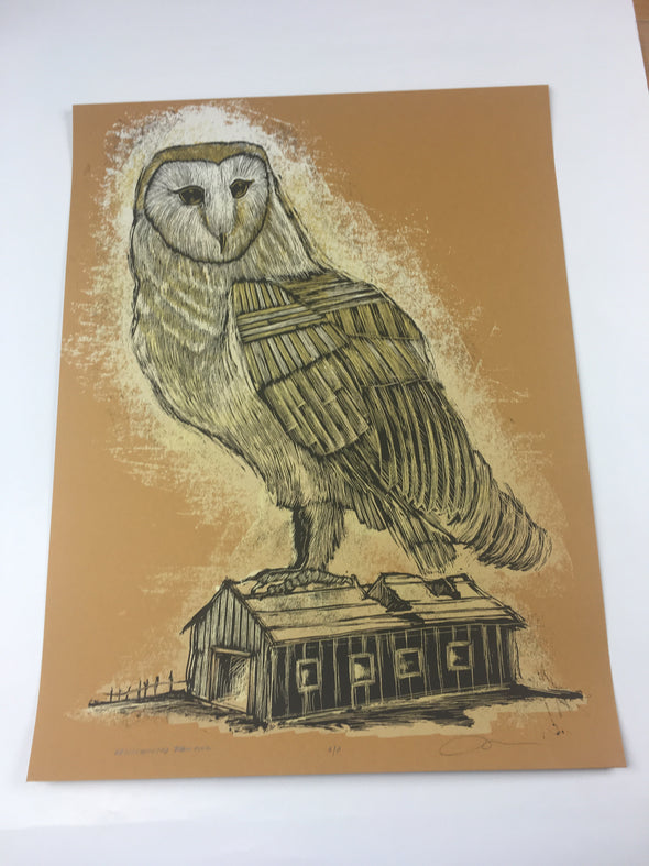 Reconstructed Barn Owl - 2013 Dan Grzeca Poster Art Print Burnt Orange