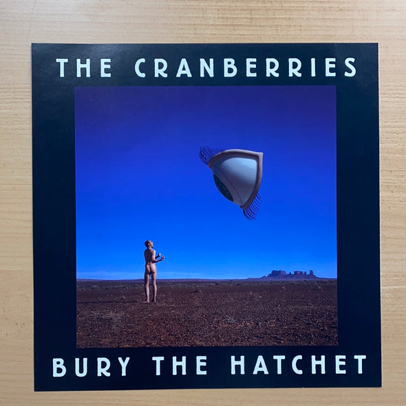 The Cranberries - 1999 original vinyl poster insert 12x12 record art