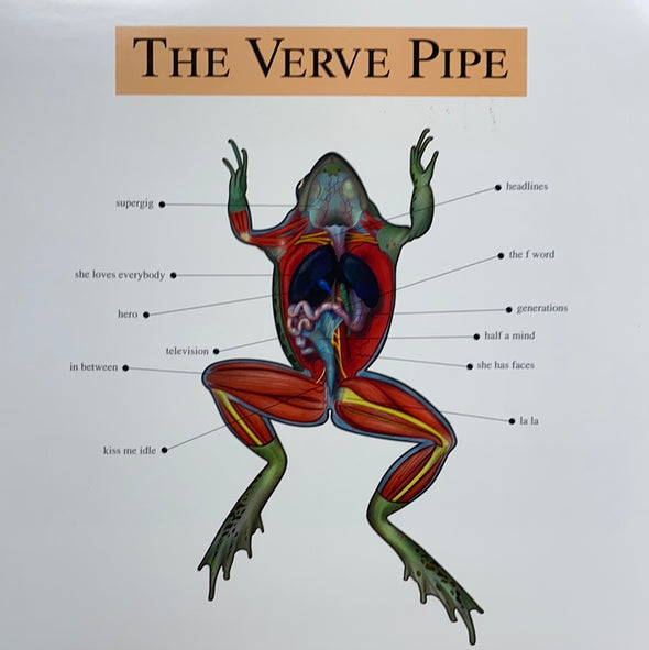 The Verve Pipe - 1999 original vinyl poster insert 12x12 record art