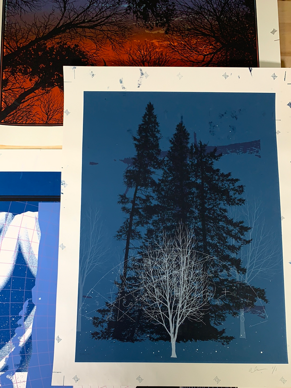 Test Print 3 Pack - Dan McCarthy posters art prints White Tree Woods Jurrasic 1/1