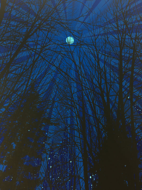 Cold Moon - 2010 Dan McCarthy Poster Art Print