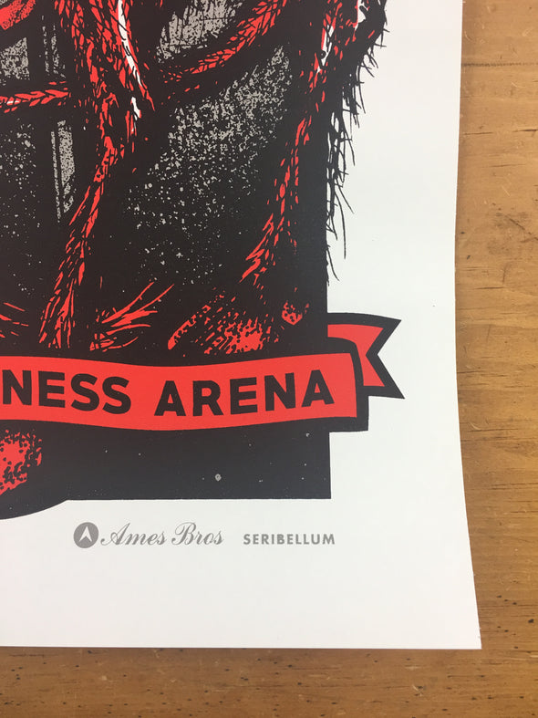 Pearl Jam - 2016 Ames Design Poster Greenville, SC Bon Secours Wellness Arena