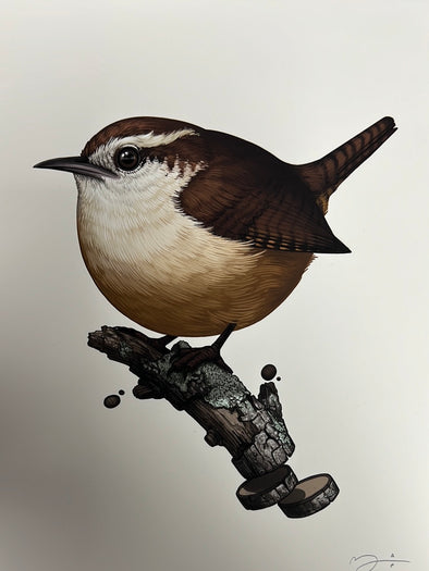 Fat Bird - 2019 Mike Mitchell poster Carolina Wren AP