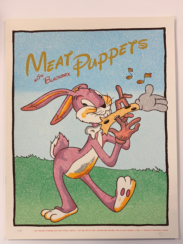 Meat Puppets - 2015 Fugscreens Studios poster Chicago, IL Foo Fighters after show