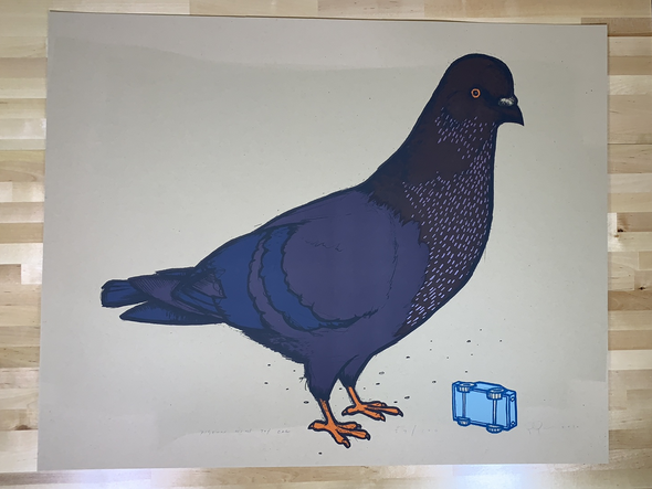 Pigeon with Toy Car - 2010 Jay Ryan Art Print