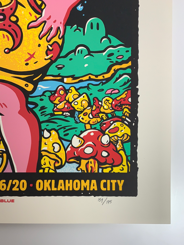 Foo Fighters - 2020 AngryBlue poster Oklahoma, OK Chesapeake