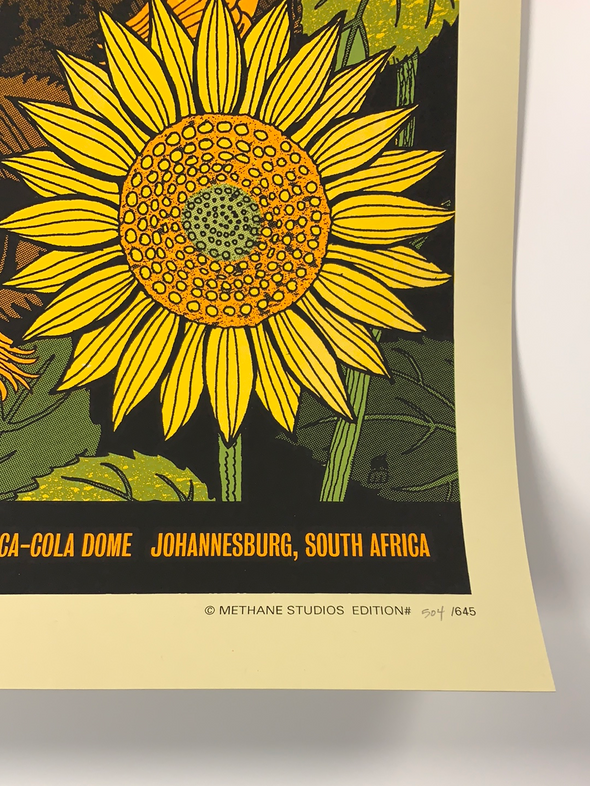 Dave Matthews Band - 2013 Methane poster Cape Town Johannesburg, SA