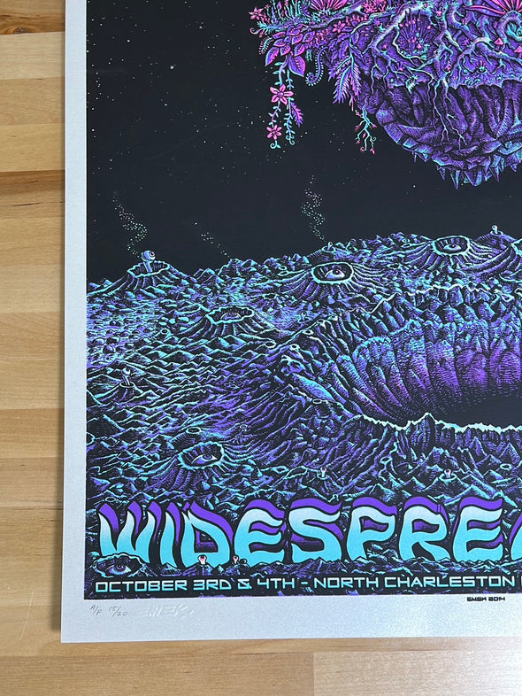 Widespread Panic - 2010 EMEK poster Charleston, SC AP