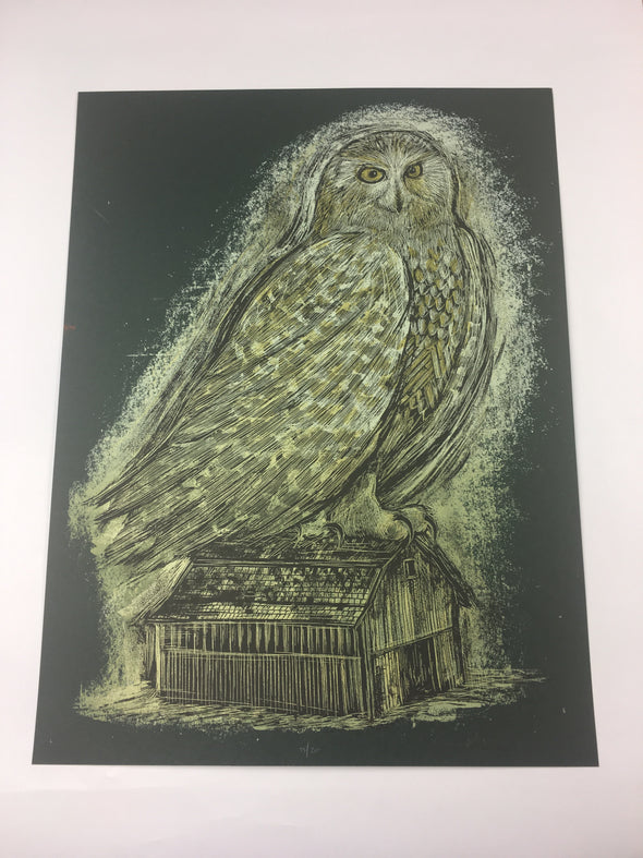 Reconstructed Snowy Owl  - Dan Grzeca Poster Art Print