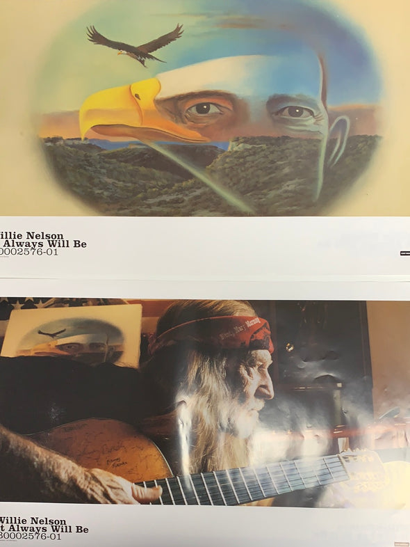 Willie Nelson - original promo poster vinyl insert 24x15 record art