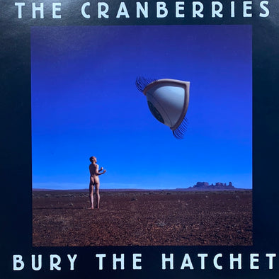 The Cranberries - 1999 original vinyl poster insert 12x12 record art