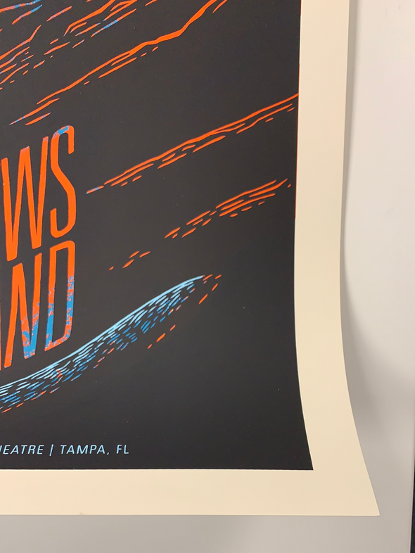 Dave Matthews Band - 2015 John Vogl poster Tampa, FL
