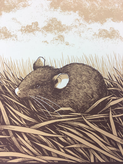 Brown Rat (Rattus norvegicus)  - 2015 Justin Santora Poster Art Print