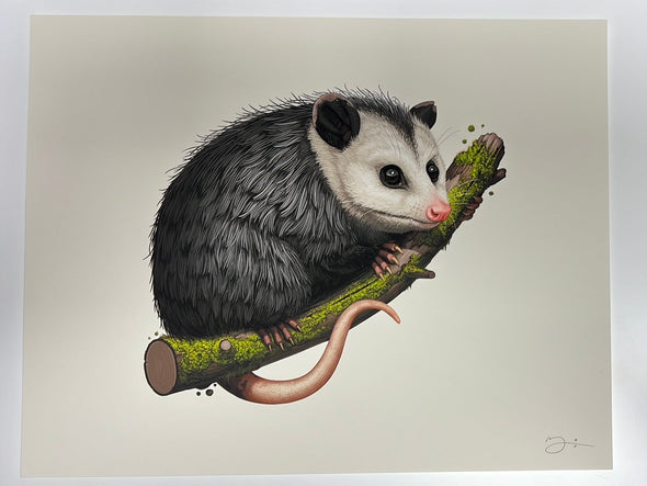 Virginia Opossum - 2018 Mike Mitchell poster art print 1st