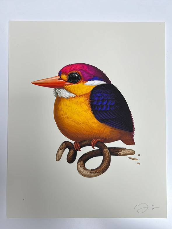 Fat Bird - 2020 Mike Mitchell poster Rufous-Backed Dwarf Kingfisher AP