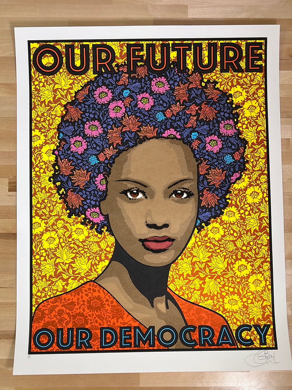 Our Future, Our Democracy, Equal Rights - 2019 Chuck Sperry poster art print AP