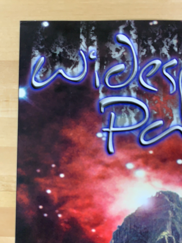 Widespread Panic - 2000 J.T. Lucchesi poster Red Rocks Morrison, CO