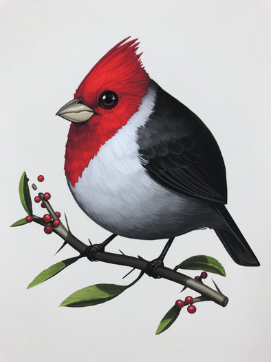 Fat Bird - 2017 Mike Mitchell Red-Crested Cardinal poster AP Signed