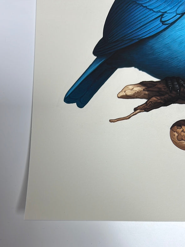 Fat Bird - 2021 Mike Mitchell poster Verditer Flycatcher AP