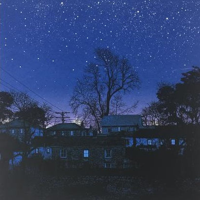 Blue Windows Behind the Stars  - 2011 Dan McCarthy Poster Art Print