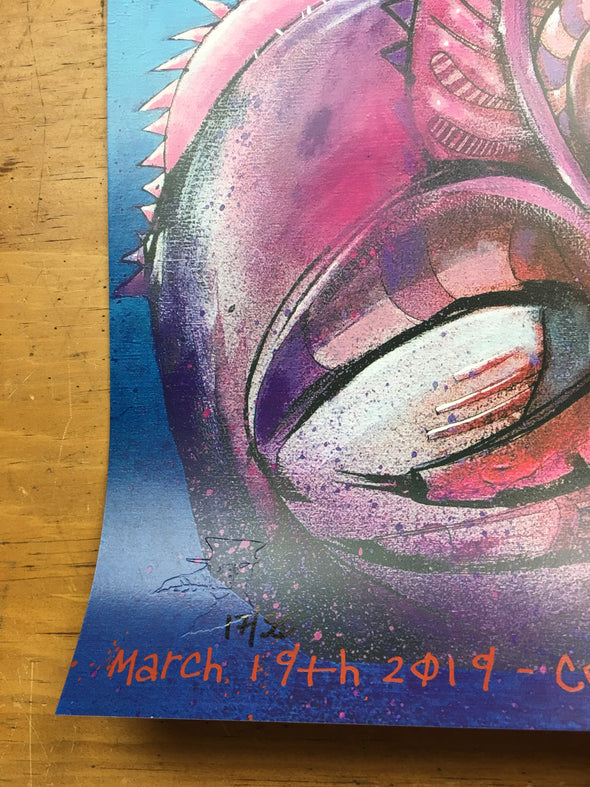 Pixies - 2019 Joey Feldman poster Columbus, OH Schottenstein Center